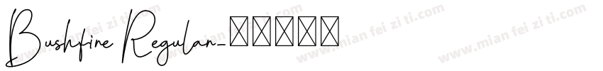 Bushfire Regular字体转换